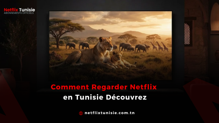 comment regarder netflix en tunisie